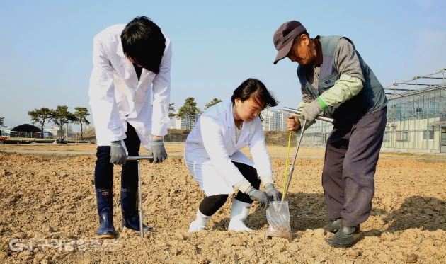 토양시료를 채취하고 있는 경기도농업기술원 연구원들(사진=농기원)