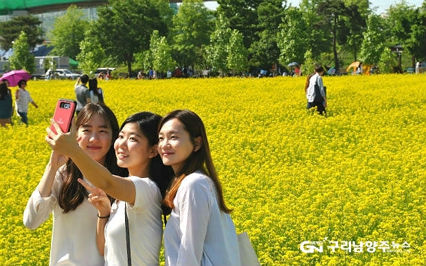 제16회 구리유채꽃축제 ©구리남양주뉴스
