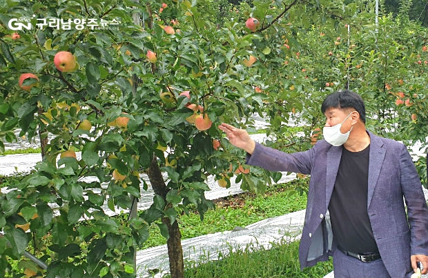 김경호 의원이 9월 2일 가평 관내 과수농가를 방문해 병충해 피해상황을 확인하고 있다(사진=경기도의회)